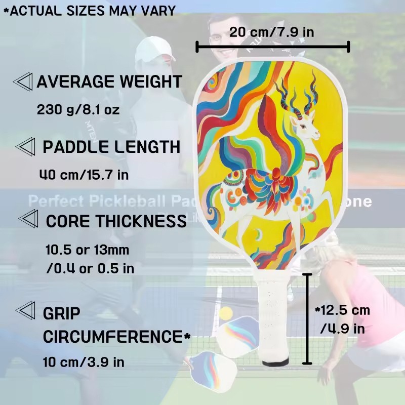 Fancy Pickleball Paddles best